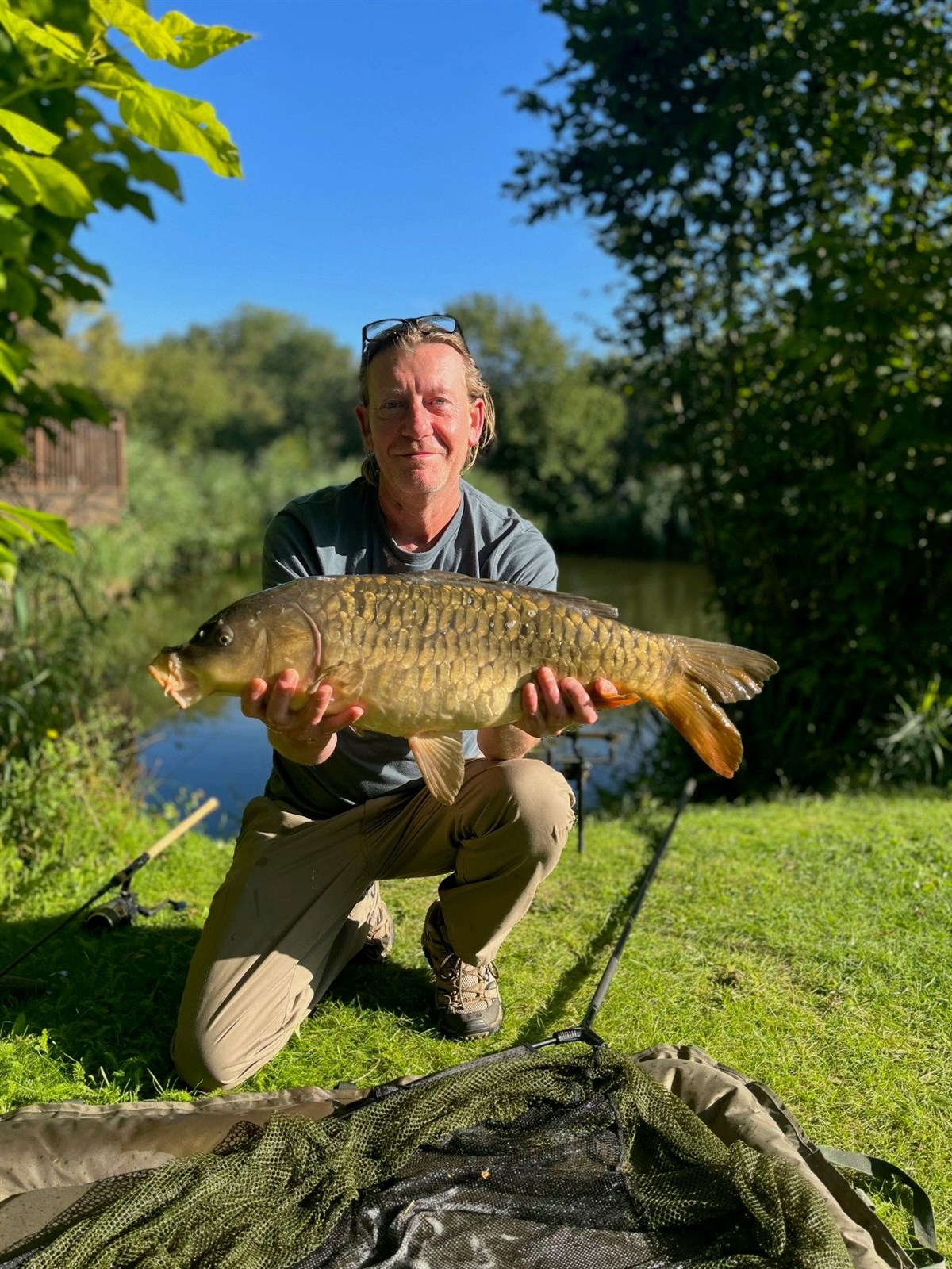 Mirror carp