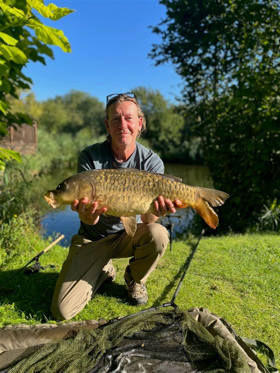 Mirror carp