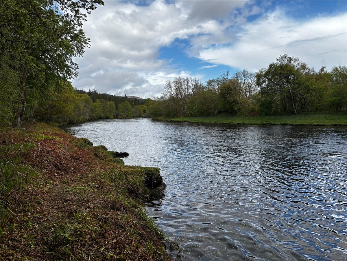 Glendoe Estate Oich