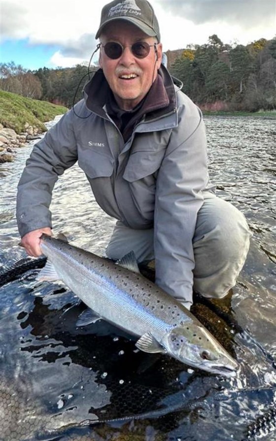 Junction Pool Springer