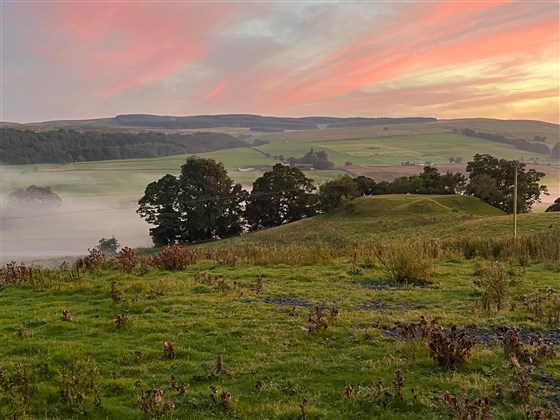 Motte de Ryehill