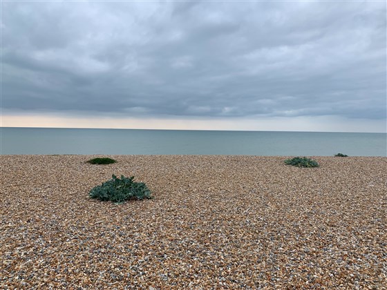 View out to Sea