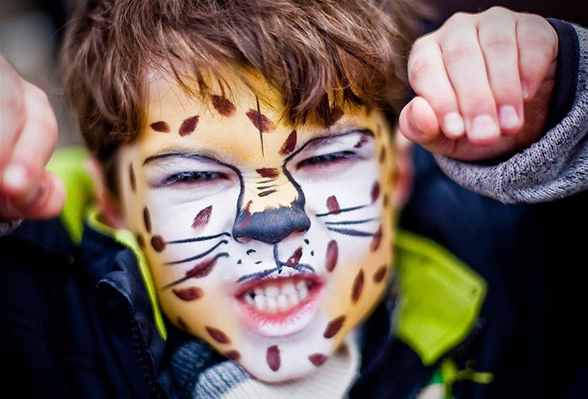 Transform into your Favourite Animal