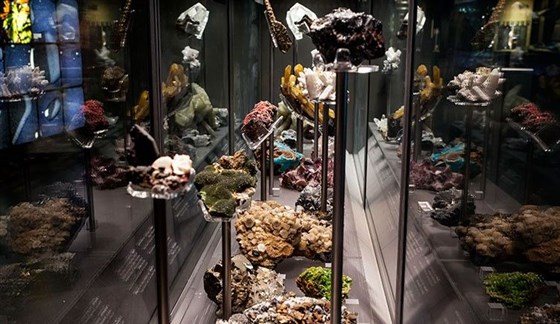 Natural History Museum, London