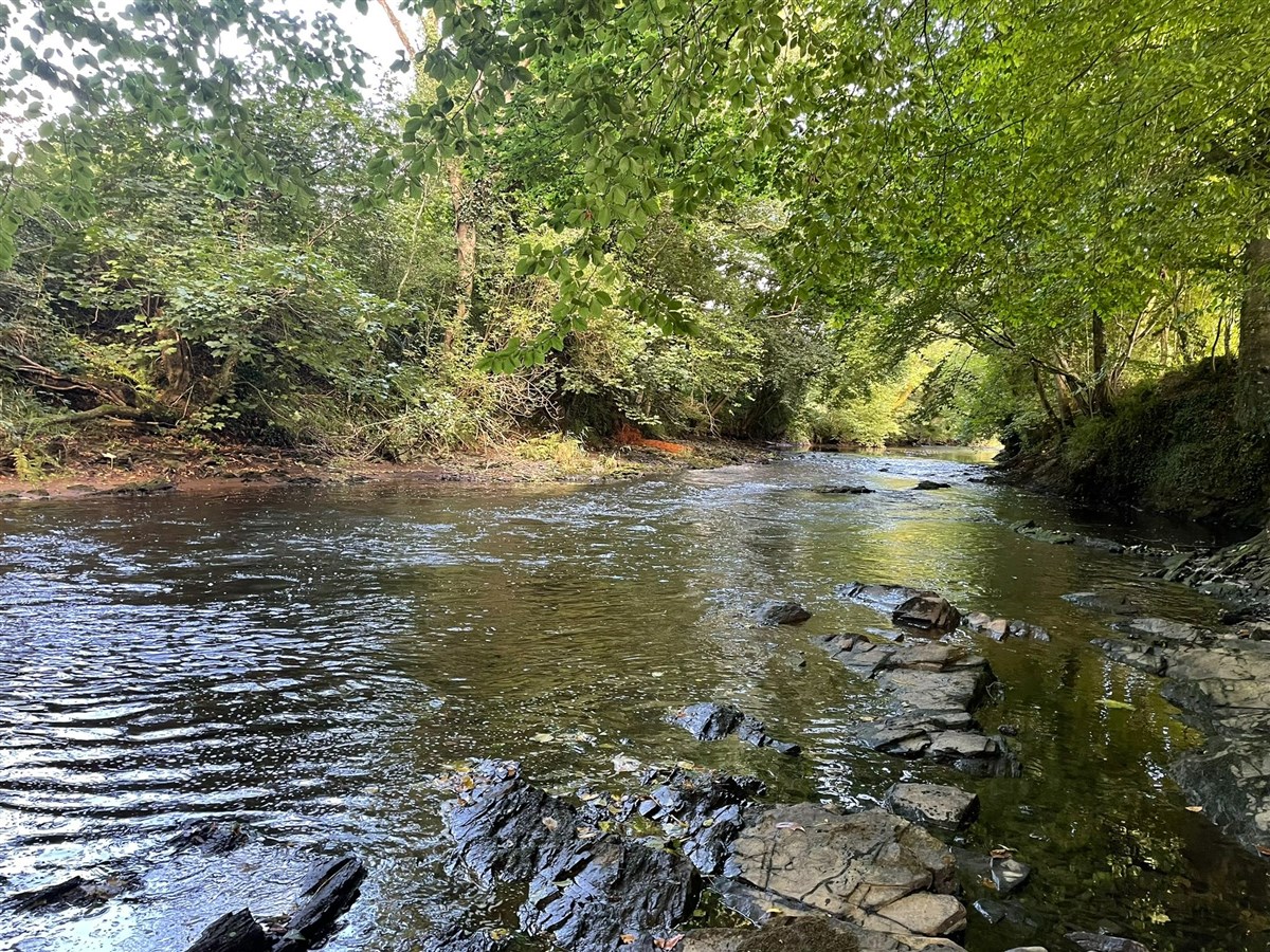 Upstream