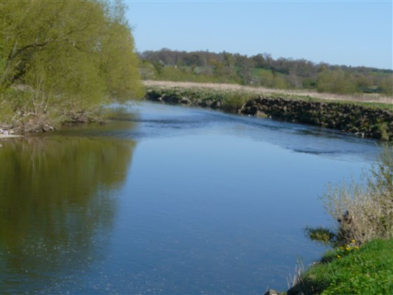 Monteviot Beat