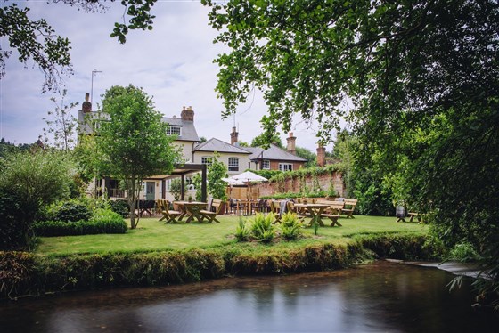 The Drummond at Albury, Albury, Guildford