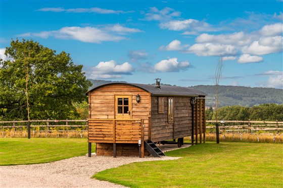 Ashwood Shepherd Hut