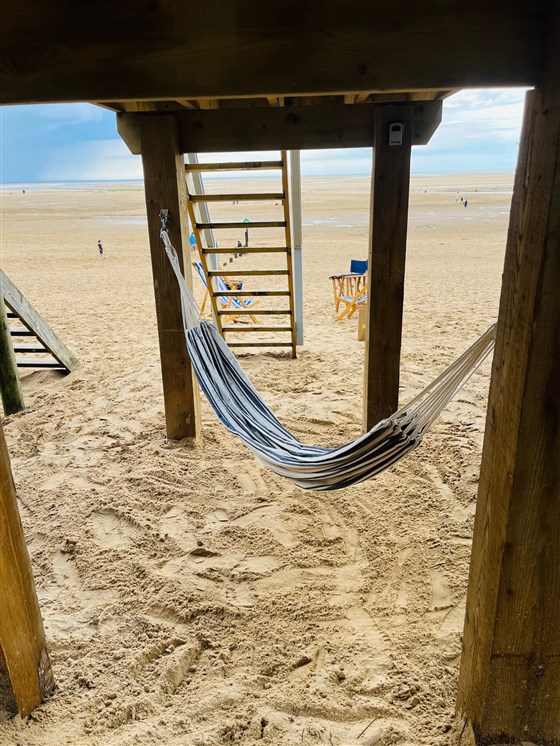 Relax in the hammock