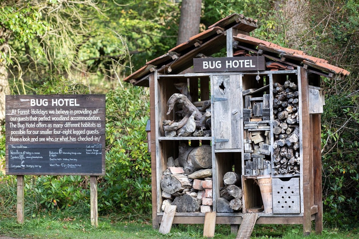 Forest Holidays, Keldy, North York Moors