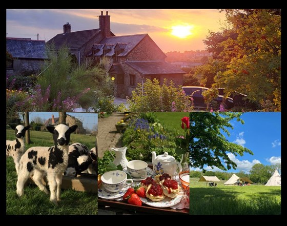 Huxtable Farm B&B and Camping Pitches
