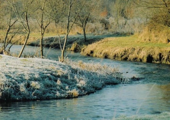 Frosty morning
