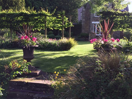 garden