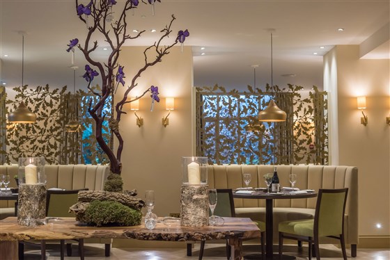 Cambium Restaurant