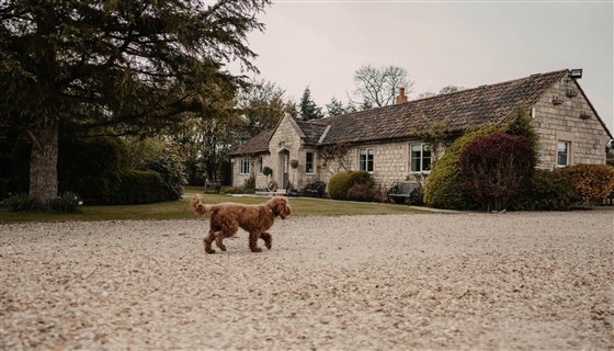 Grounds