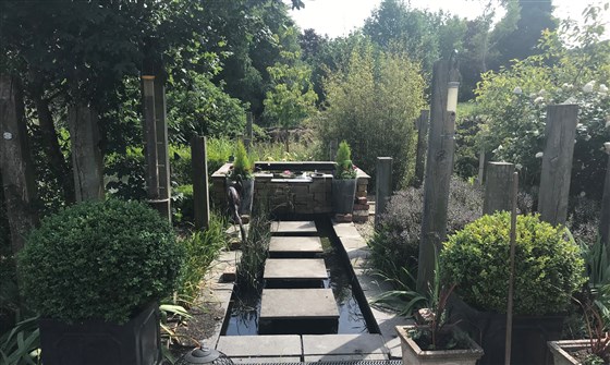 Stepping Stones across the Rill