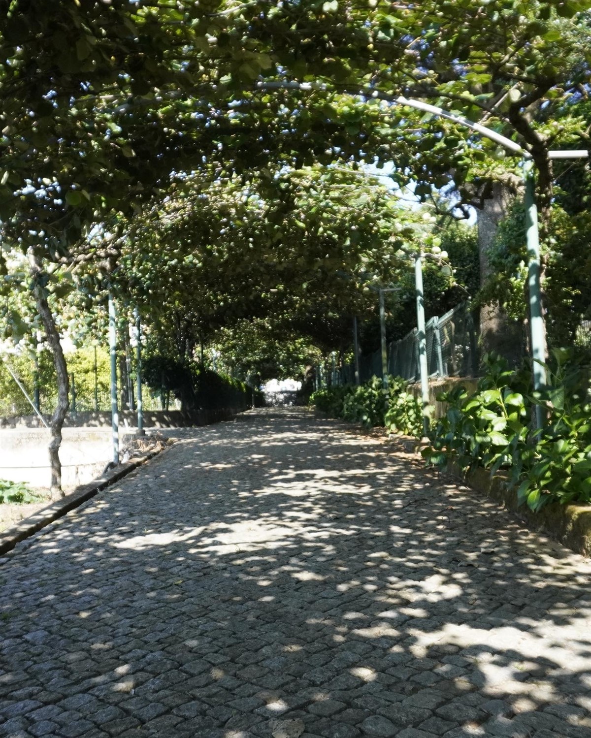inngang