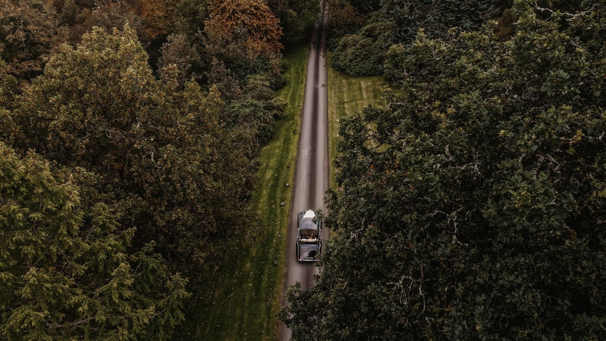 Tree-lined driveway