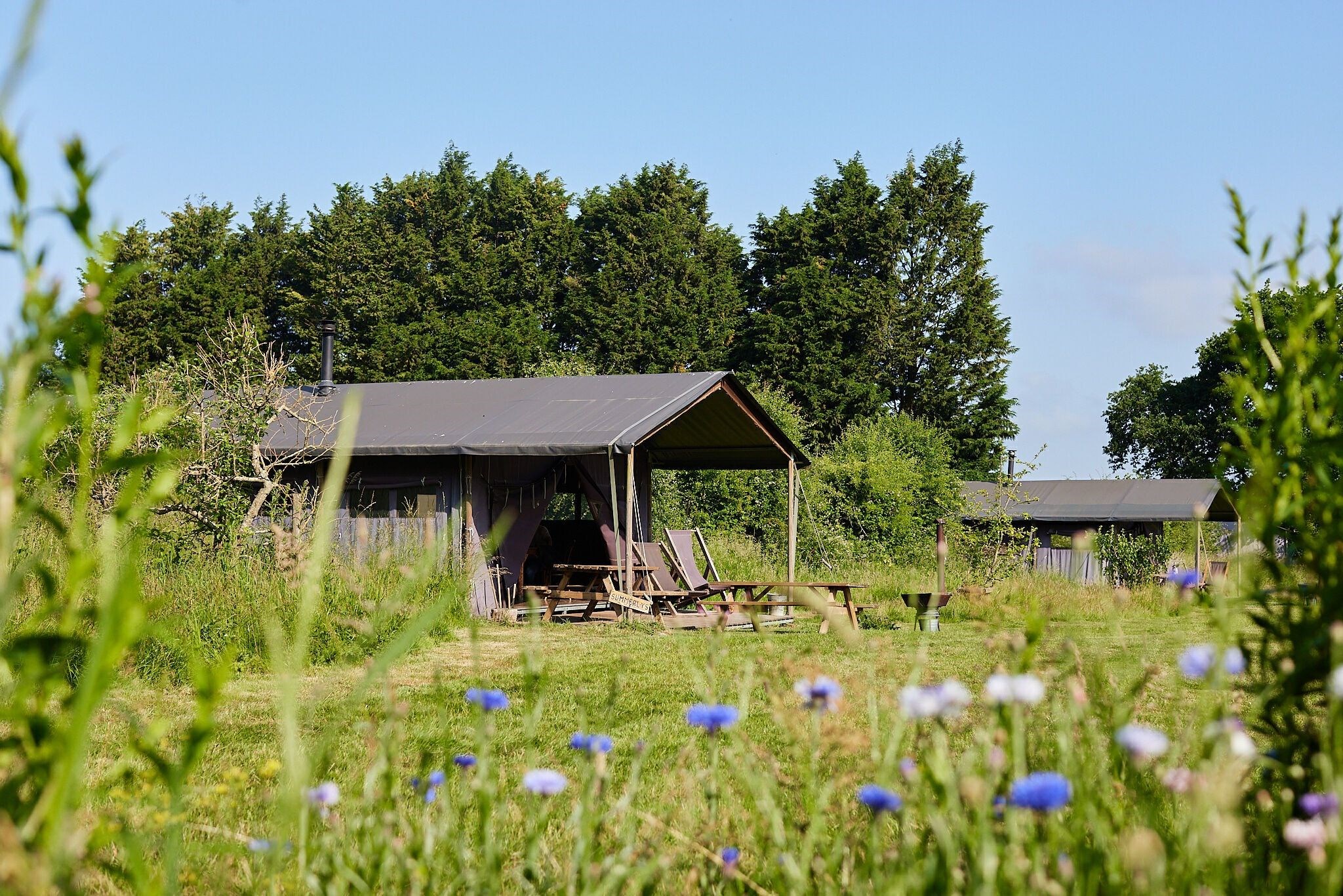 Feather Down Manor Farm photo 3