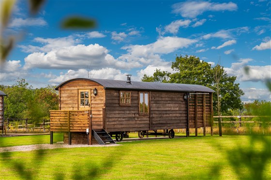 Ashwood Shepherd Hut