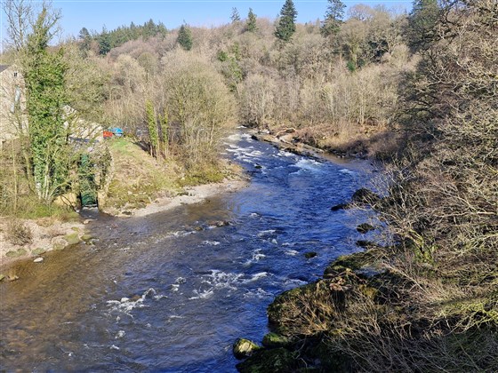 Border Esk