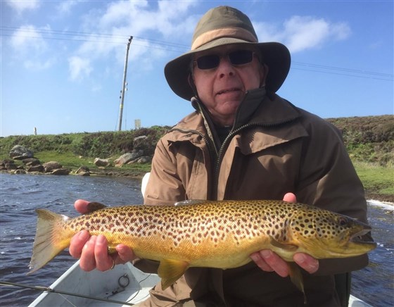 Loch East Bee Brown Trout (4lb-4oz)