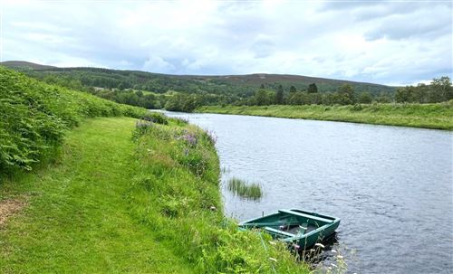 Fishpal FishPal - buy fishing permits for salmon, trout and grayling
