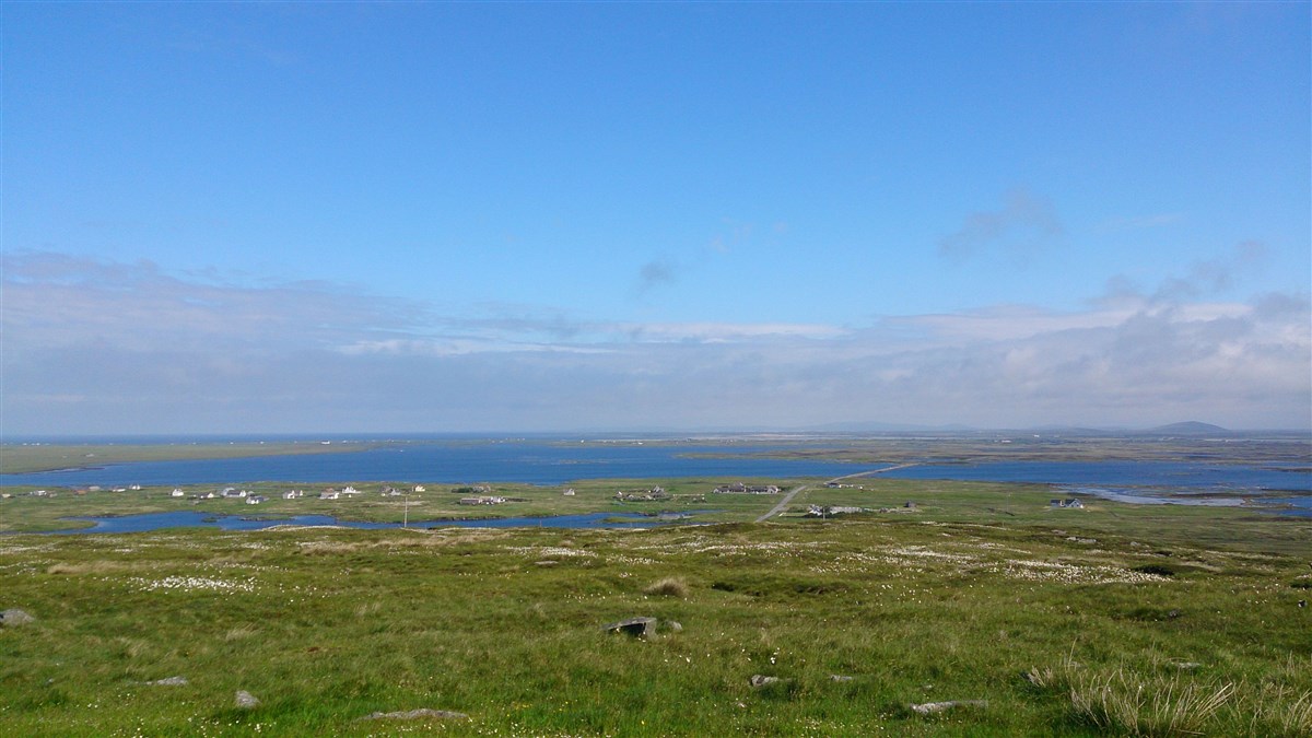 Lochs West & East Bee