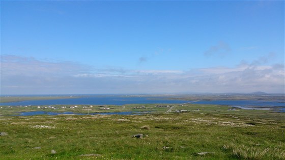 Lochs West & East Bee