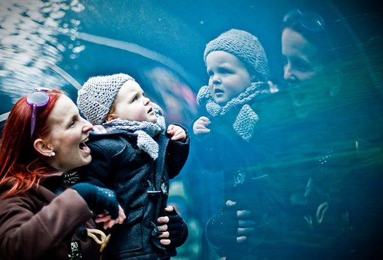 Journey through our Underwater Tunnel