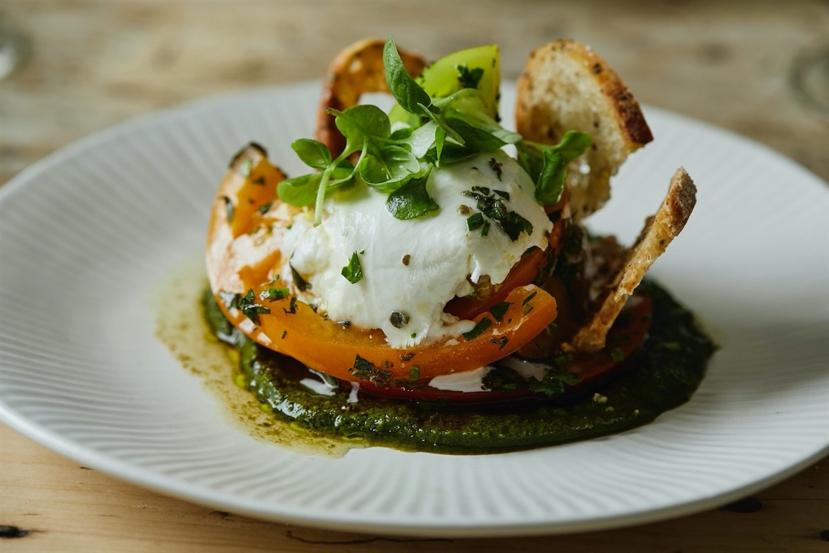 Tomato and Burrata salad