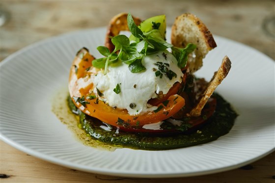 Tomato and Burrata salad