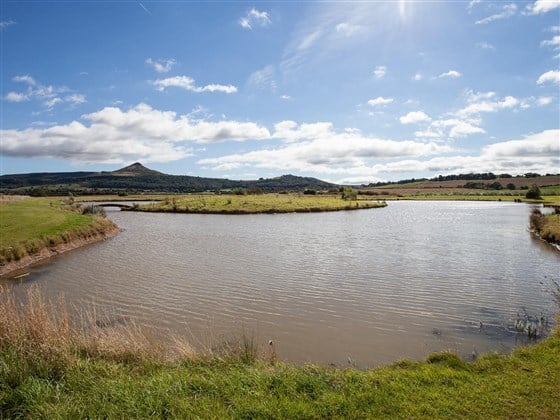 Besses Pool stocked with crucian carp, ide, tench, chubb, bream, and roach