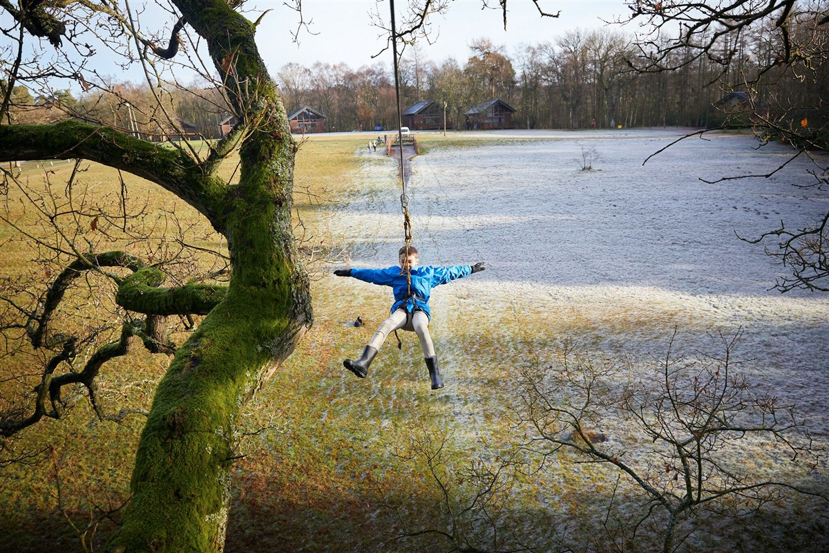 Treehouse Breaks at Forest Holidays, Keldy