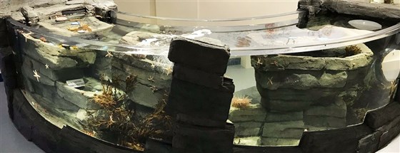 Macduff Marine Aquarium