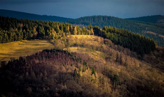 Forest Holidays, Glentress Forest