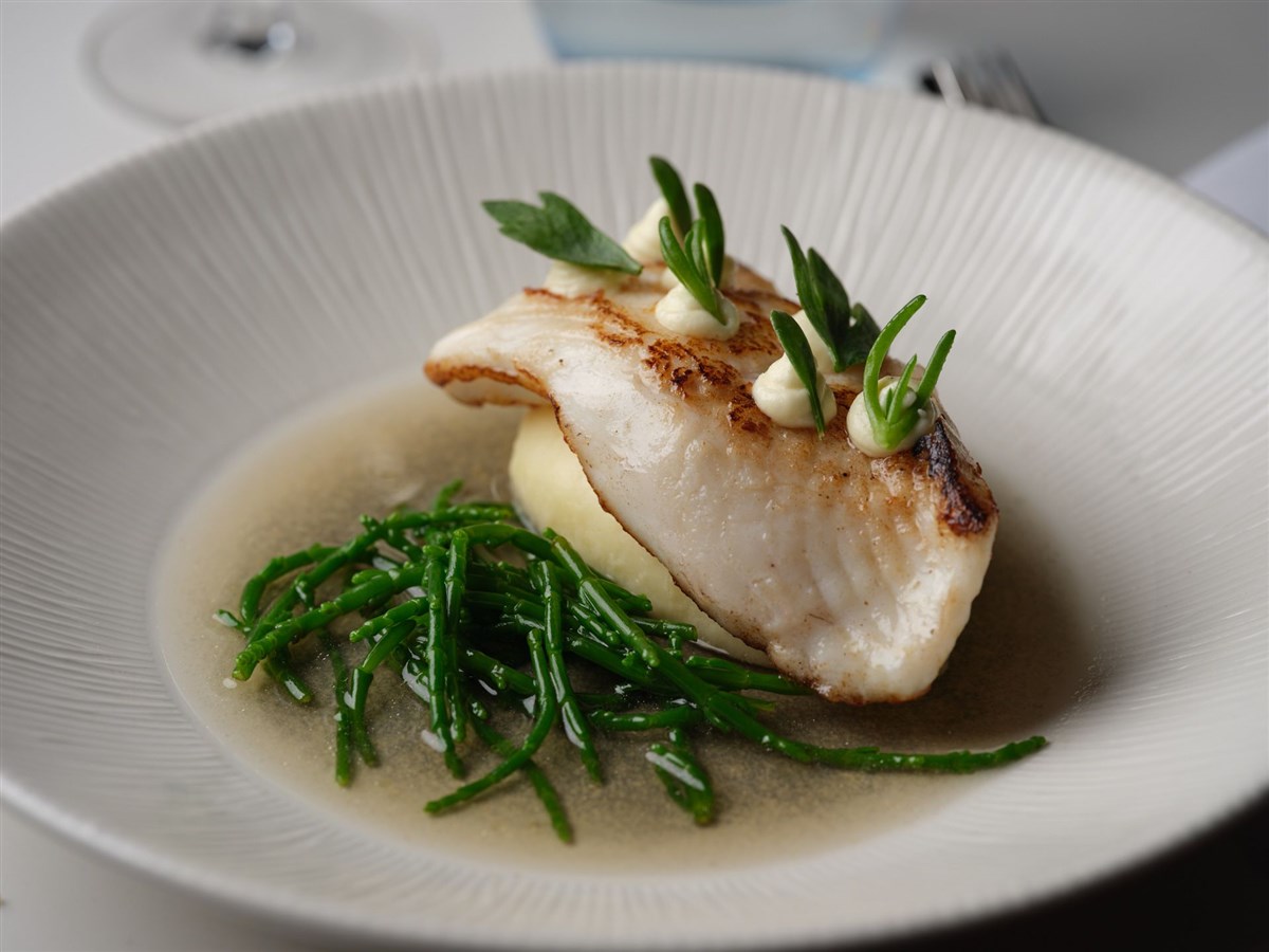 Turbot