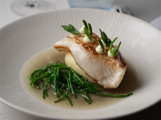 Turbot