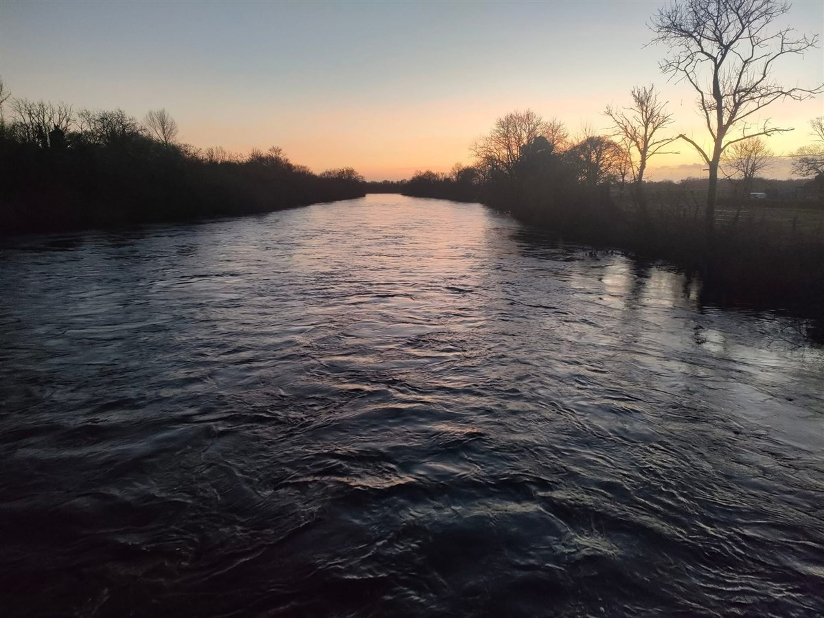 Watershed Fly Fishing