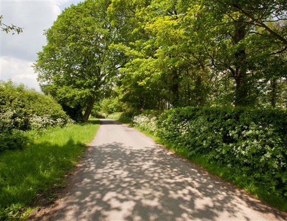Churchdale Farm