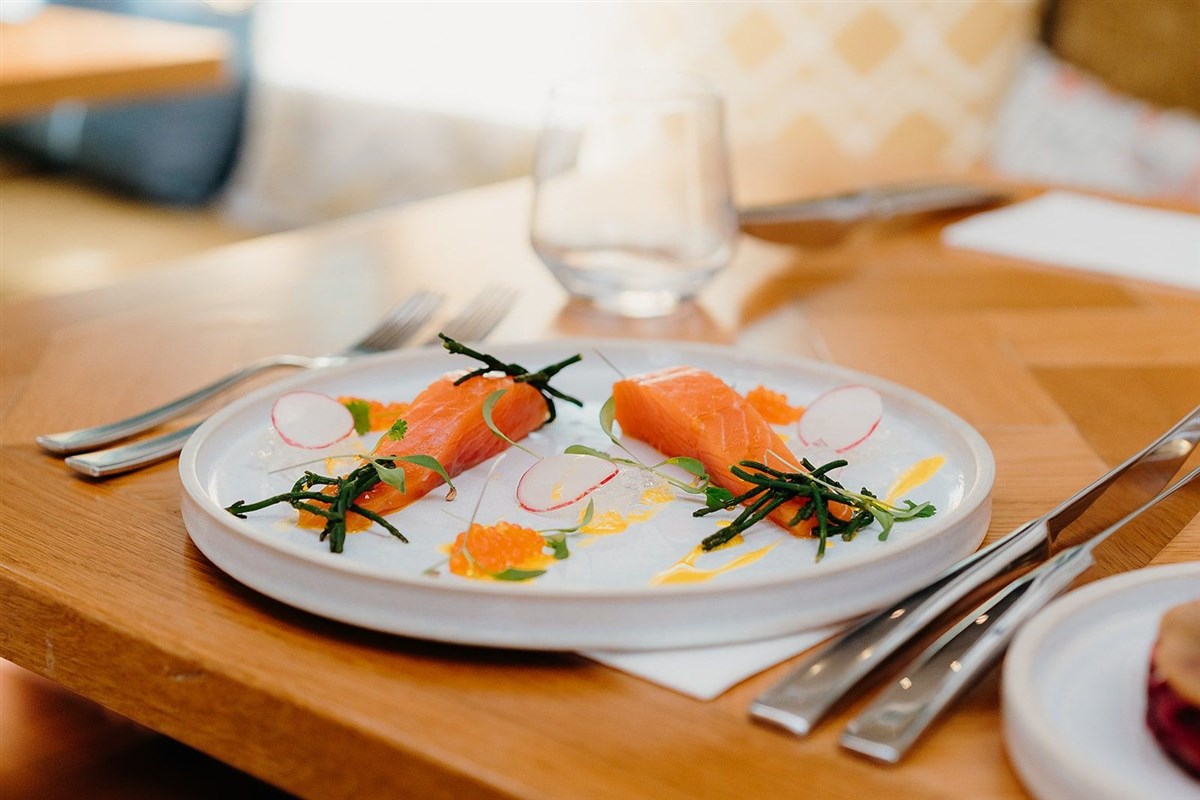 Fish Starter