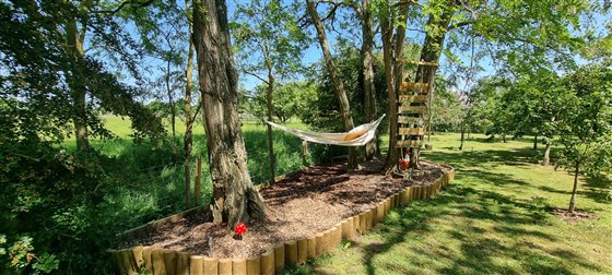 Hammock Time