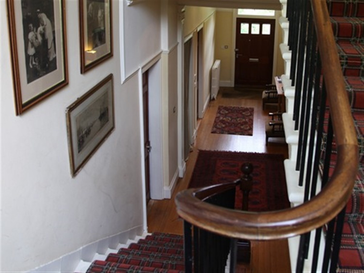 Looking down from garden access level