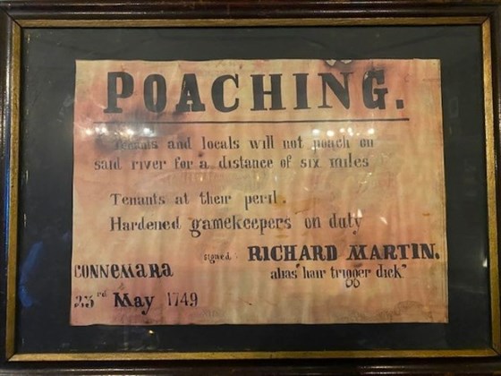 No Poaching!