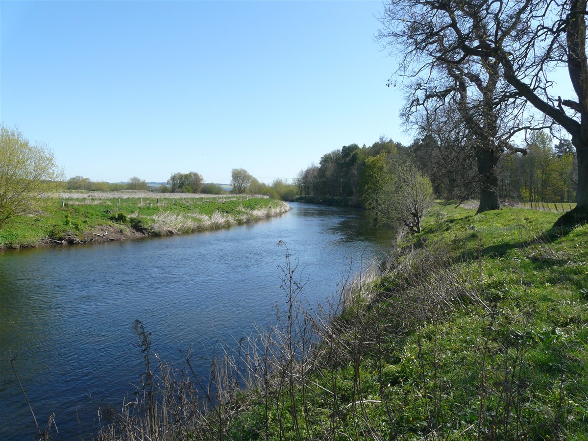 Monteviot Beat
