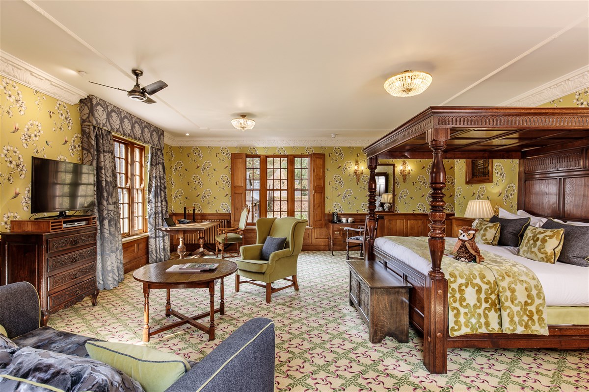 Olive, Plush Junior Suite
