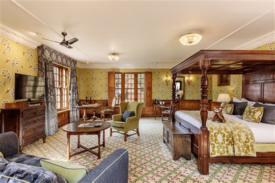 Olive, Plush Junior Suite