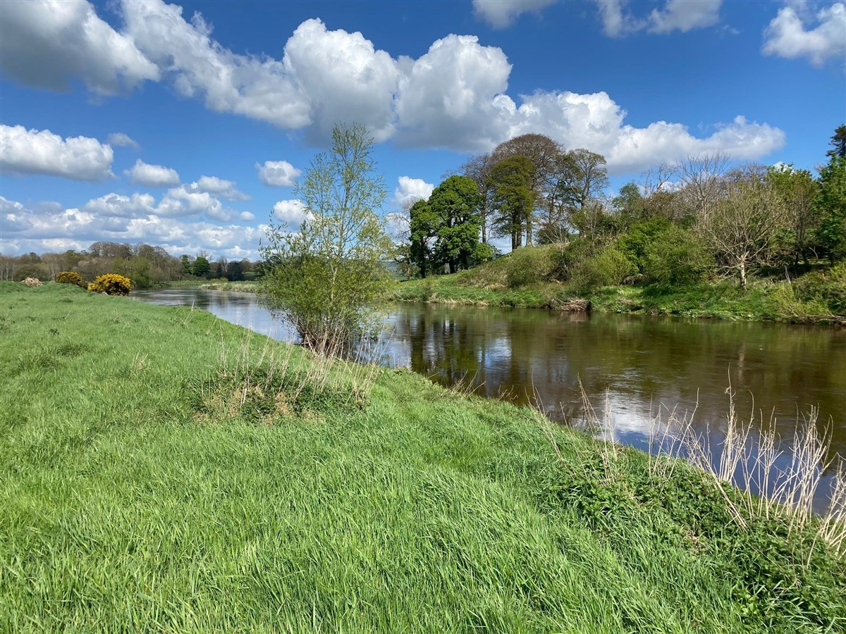 Strule River Rash Estate