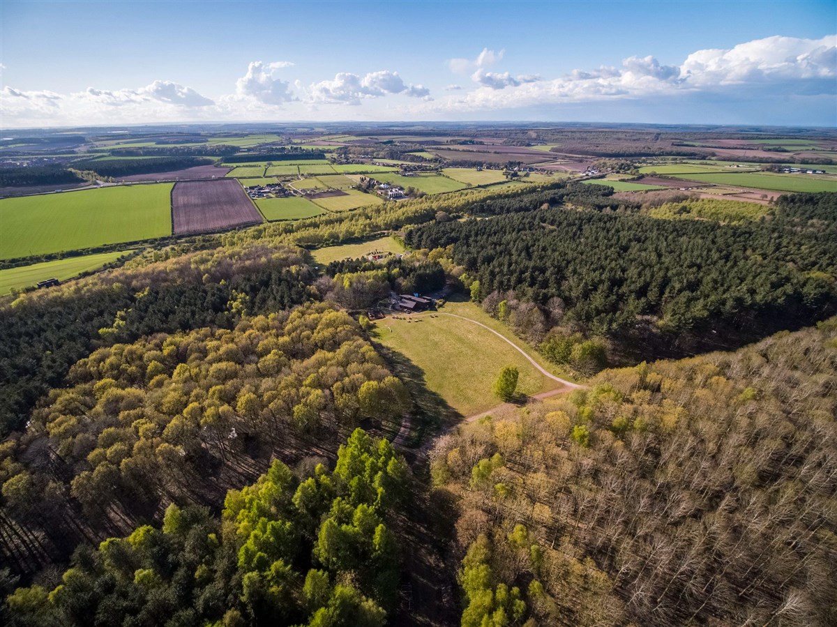 Forest Holidays, Sherwood Forest, Nottinghamshire