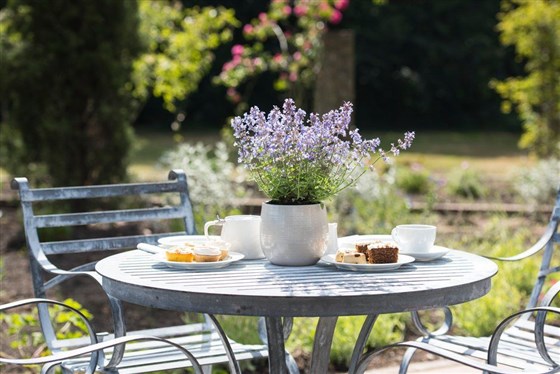 Tea at Stone Pine Cafe in summer
